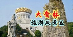 日本黑毛淫水中国浙江-绍兴大香林旅游风景区